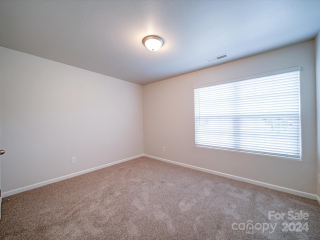 carpeted spare room featuring a wealth of natural light