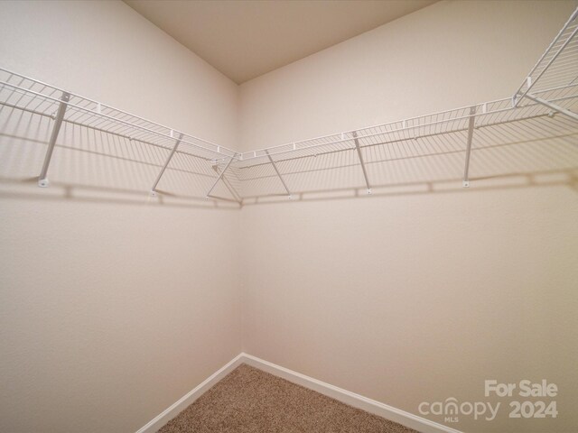 spacious closet with carpet