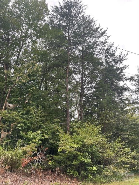 4560 Mecum Rd, Walkertown, NC 27051 - photo 3