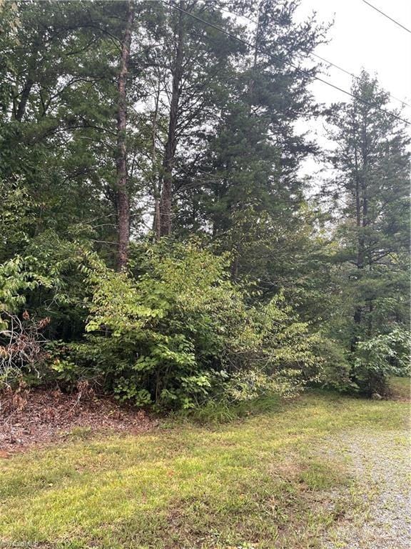 4560 Mecum Rd, Walkertown, NC 27051 - photo 4
