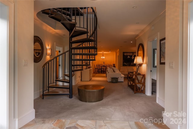 interior space featuring carpet flooring and crown molding