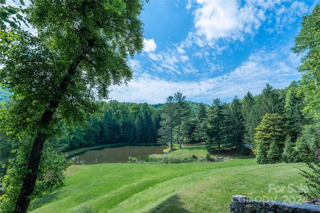 view of yard with a water view