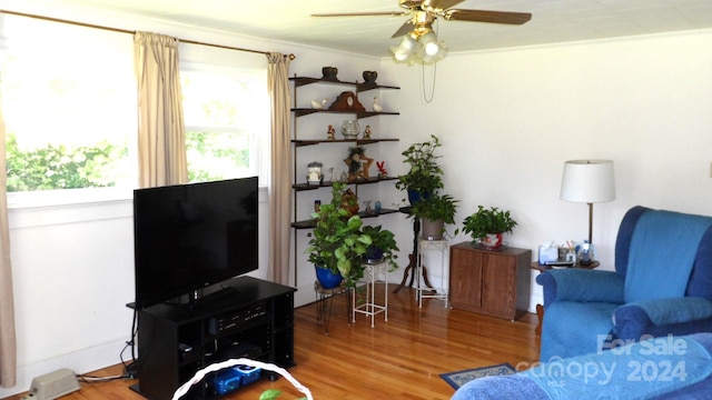 living room with ceiling fan, hardwood / wood-style flooring, and ornamental molding