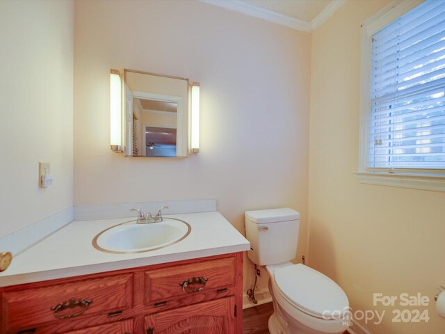 bathroom featuring toilet, crown molding, and vanity