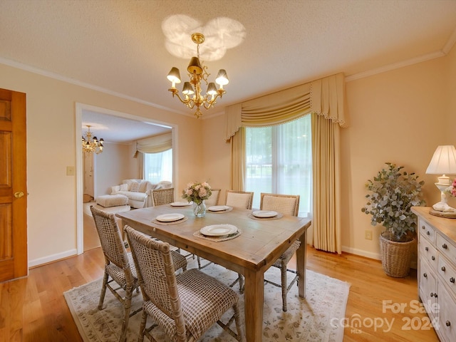 dining space featuring crown molding, a textured ceiling, and light wood-type flooring