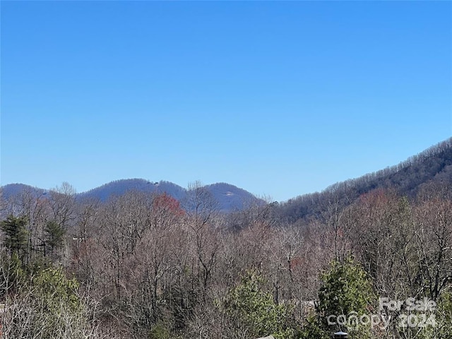 365 Feather Falls Trl S Unit 48, Black Mountain NC, 28711 land for sale