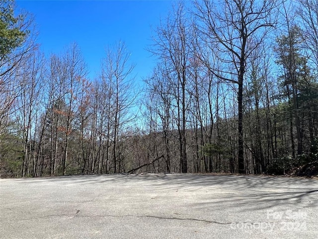 Listing photo 2 for 365 Feather Falls Trl S Unit 48, Black Mountain NC 28711