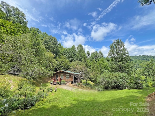 833 Sprinkle Branch Rd, Marshall, NC 28753 - view of yard with a view of trees