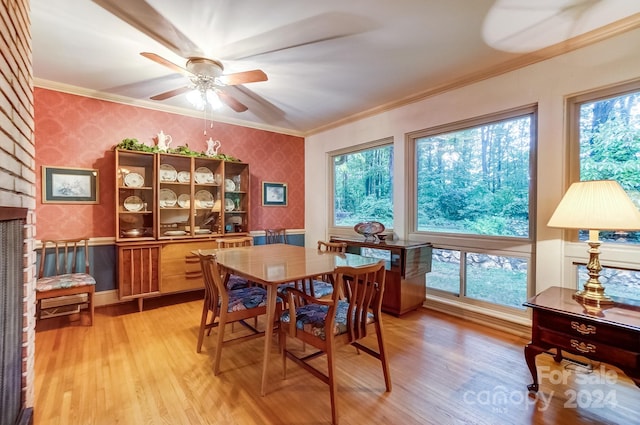 dining room featuring a fireplace, ceiling fan, light hardwood / wood-style floors, and crown molding