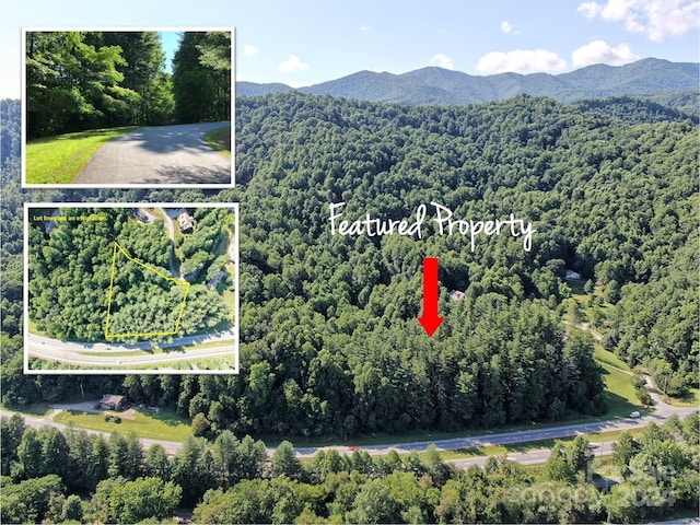 LOT30 Woodberry Ln, Sylva, NC 28779