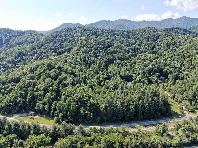LOT30 Woodberry Ln, Sylva, NC 28779