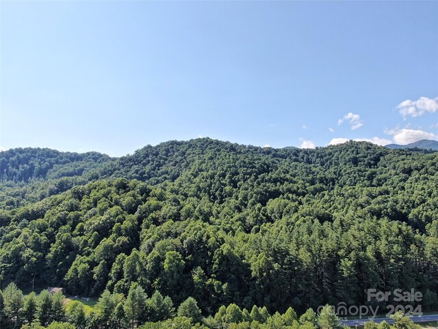 LOT30 Woodberry Ln, Sylva, NC 28779