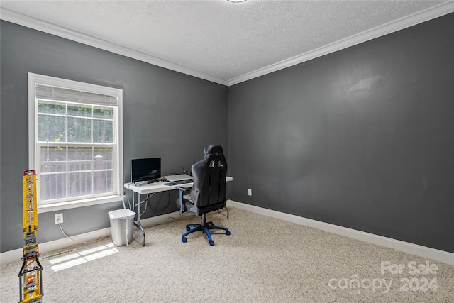 home office with a textured ceiling and carpet flooring