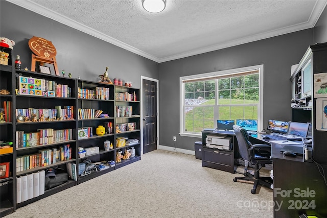 carpeted office featuring a textured ceiling and crown molding