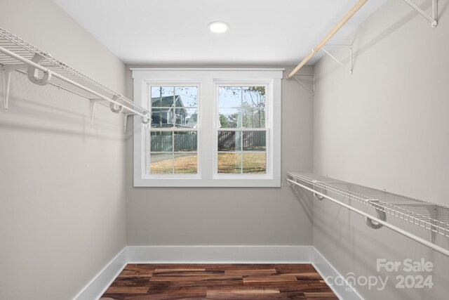 spacious closet featuring dark hardwood / wood-style flooring