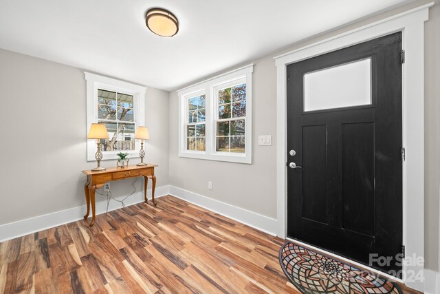 foyer entrance with hardwood / wood-style floors