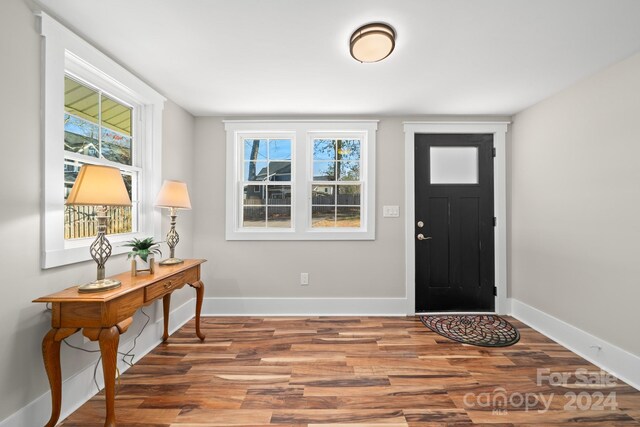 foyer featuring wood-type flooring