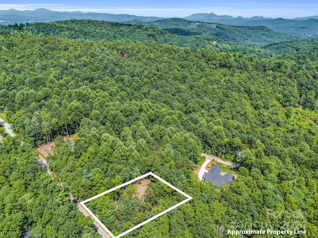 151 Harvey Osteen Rd, Zirconia NC, 28790 land for sale