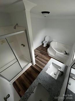 bathroom featuring hardwood / wood-style floors and vanity