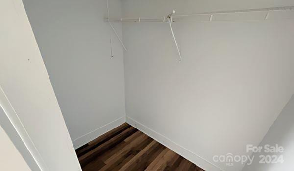 walk in closet with dark wood-type flooring