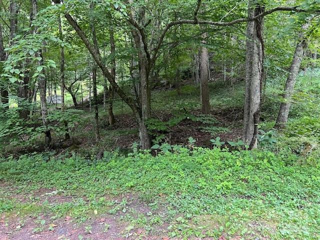 000 Lickskillet Rd, Burnsville, NC 28714 - photo 1