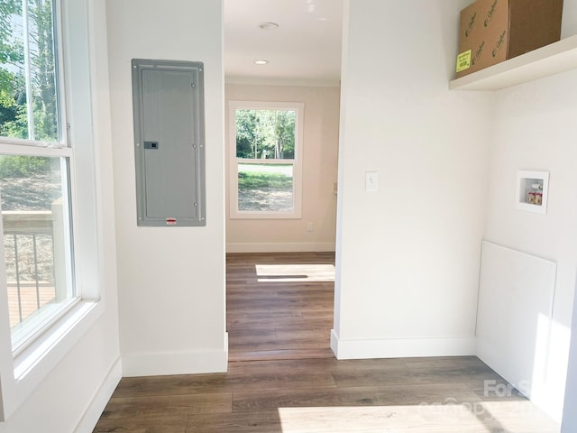 laundry area with electric panel, washer hookup, and hardwood / wood-style flooring