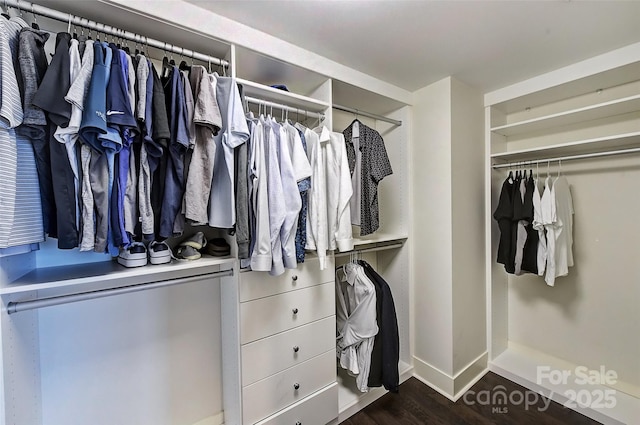 walk in closet with dark wood-style flooring