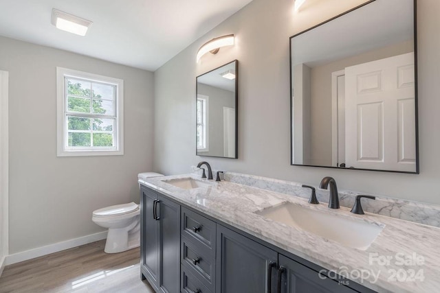 bathroom featuring vanity, wood-type flooring, and toilet