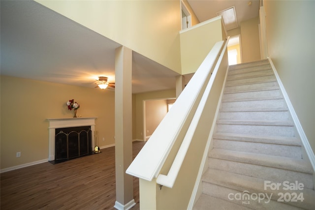 staircase with wood-type flooring