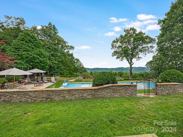 view of yard with a patio