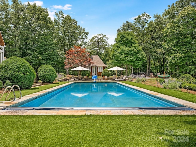 view of pool with a yard