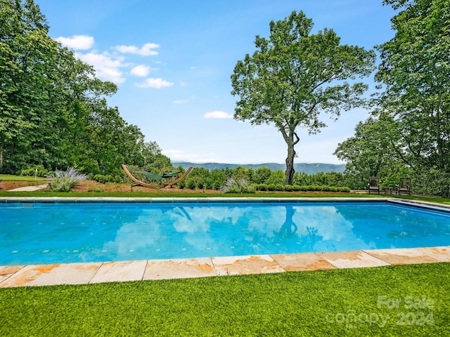 view of pool featuring a yard