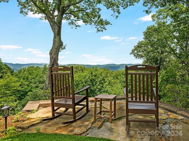 380 Pine Rdg, Boone, NC 28607 - photo 39