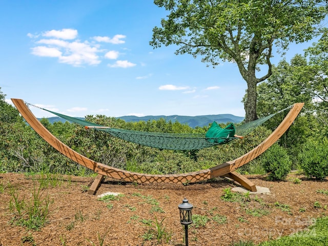 380 Pine Rdg, Boone, NC 28607 - photo 40