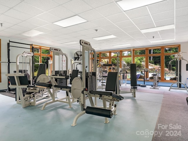 gym with concrete floors and a drop ceiling