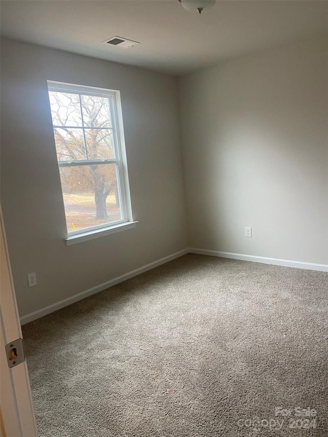 spare room with carpet floors