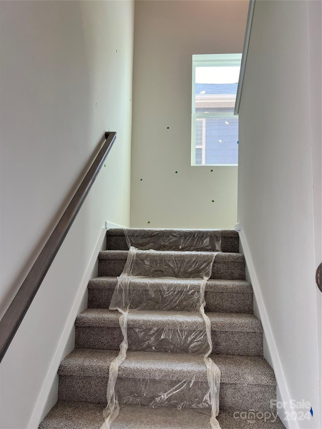 staircase featuring carpet