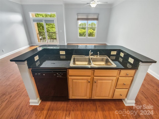 kitchen featuring dark hardwood / wood-style floors, dishwasher, sink, and a healthy amount of sunlight