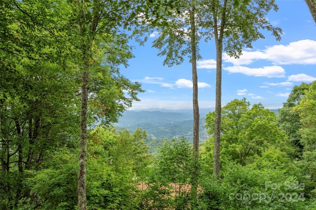 view of mountain feature with a view of trees