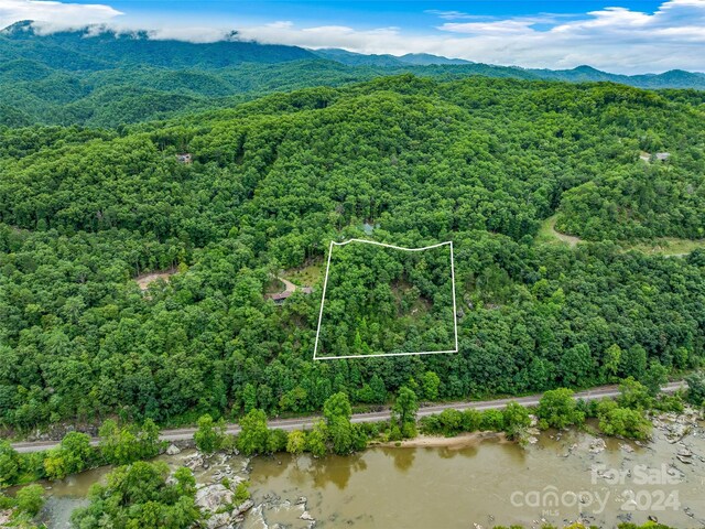 4155 French Broad Pkwy, Marshall NC, 28753 land for sale