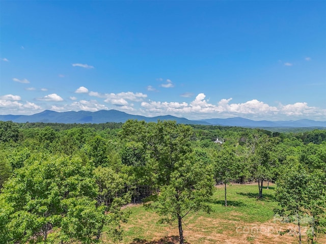 0 Prospect Point Dr, Tryon NC, 28782 land for sale