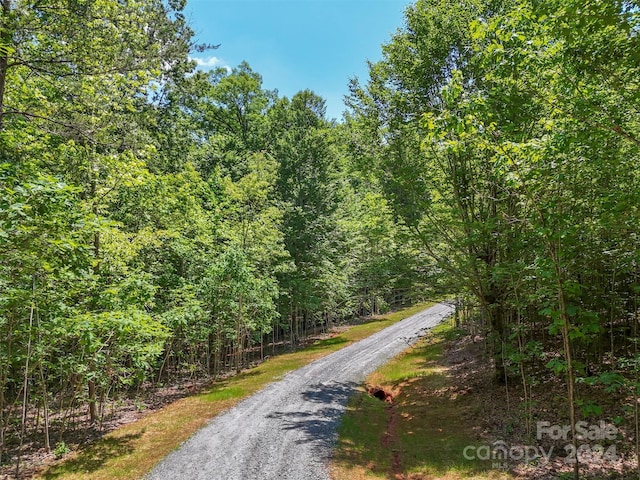 0 Prospect Point Dr, Tryon, NC 28782 - photo 5