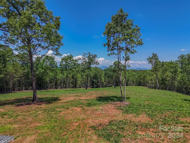 0 Prospect Point Dr, Tryon, NC 28782 - photo 6