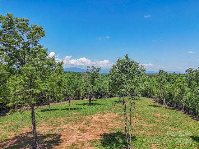0 Prospect Point Dr, Tryon, NC 28782 - photo 7