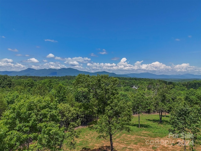 0 Prospect Point Dr, Tryon, NC 28782 - photo 8