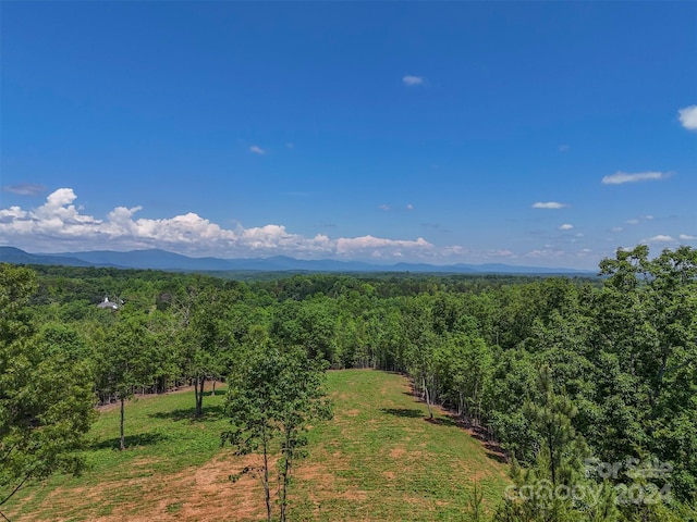 0 Prospect Point Dr, Tryon, NC 28782 - photo 9