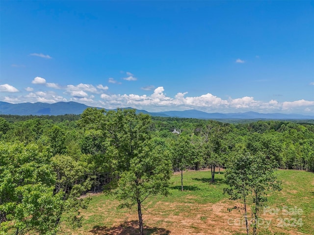 0 Prospect Point Dr, Tryon, NC 28782 - photo 10