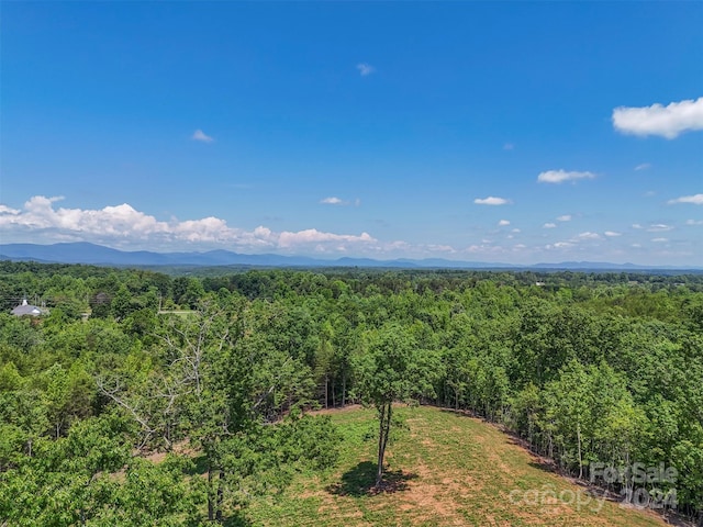0 Prospect Point Dr, Tryon, NC 28782 - photo 11