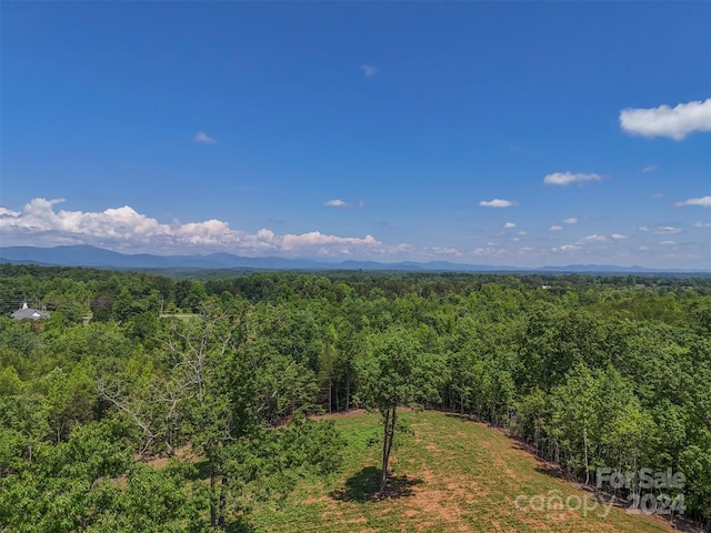 0 Prospect Point Dr, Tryon, NC 28782 - photo 12
