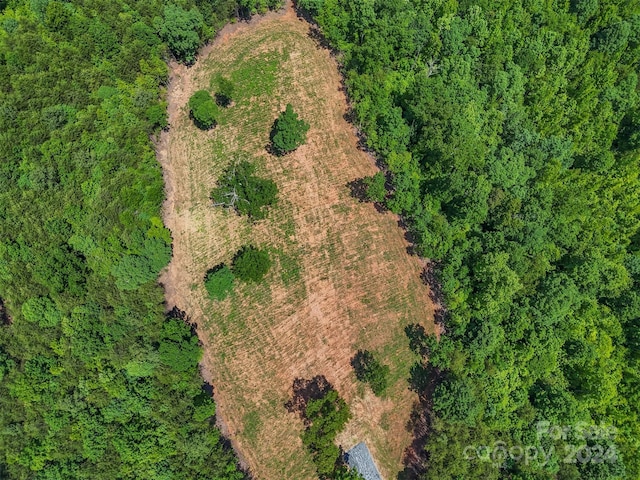 0 Prospect Point Dr, Tryon, NC 28782 - photo 13